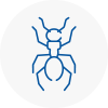 Ant Removals In New Shoreham
