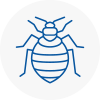 Bed Bug Extermination In New Shoreham