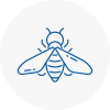 Bee Nest Removal New Shoreham