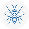 New Shoreham Hornet Nest Removals