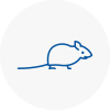 Mice Exterminators In New Shoreham