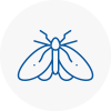 Moth Control Specialists In New Shoreham