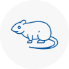 Rat Control New Shoreham