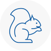 New Shoreham Rodent Removals